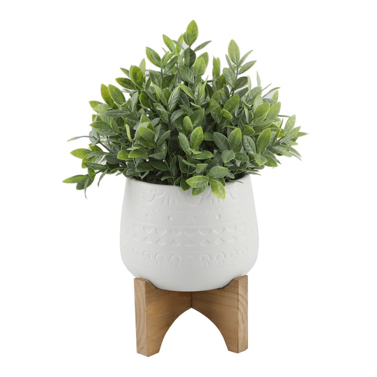 Oliver 6'' Artificial Foliage Plant in Pot & Reviews Wayfair